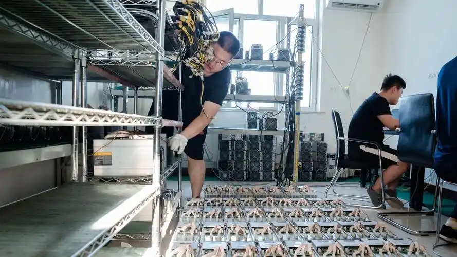 A large-scale cryptocurrency mining farm with rows of mining rigs.