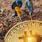 A large-scale mining farm equipped with hosted mining machines showcasing advanced warranty-supported infrastructure