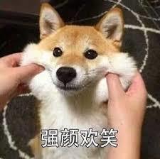 A vibrant illustration of Dogecoin mining rigs in action, symbolizing the accessible and community-driven nature of DOGE mining
